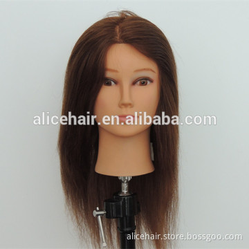 Factory sales cheap hairdressing cosmetology mannequin head